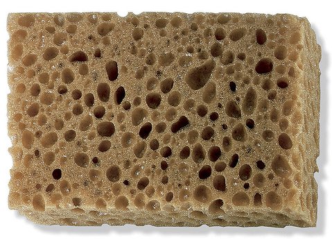 Color Expert / Колор Эксперт губка синтетическая для промывки швов